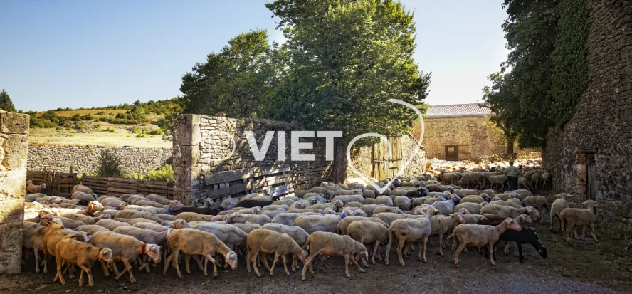 Photo TOULOUSE by VIET - VILLAGE FORTIFIÉ DE LA COUVERTOIRADE