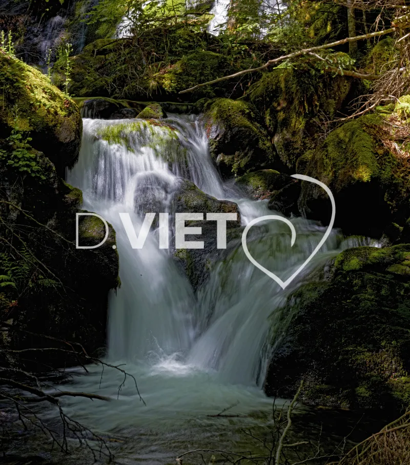 Photo TOULOUSE by VIET - cascade foret