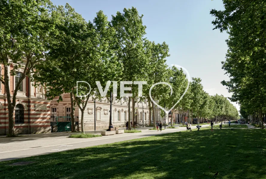 Photo TOULOUSE by VIET - Mölkky Allée Jules Guesde