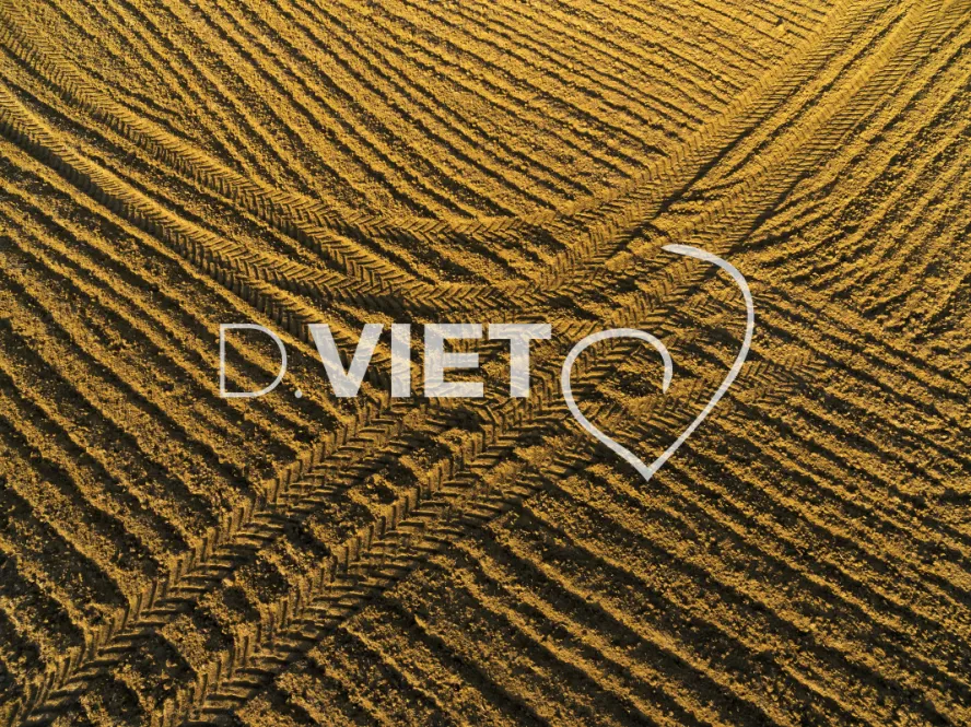 Photo TOULOUSE by VIET - VIET_008056