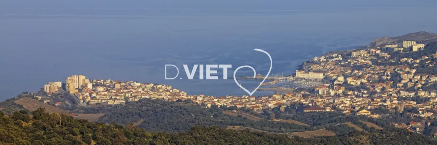 Photo TOULOUSE by VIET - VIET_006688