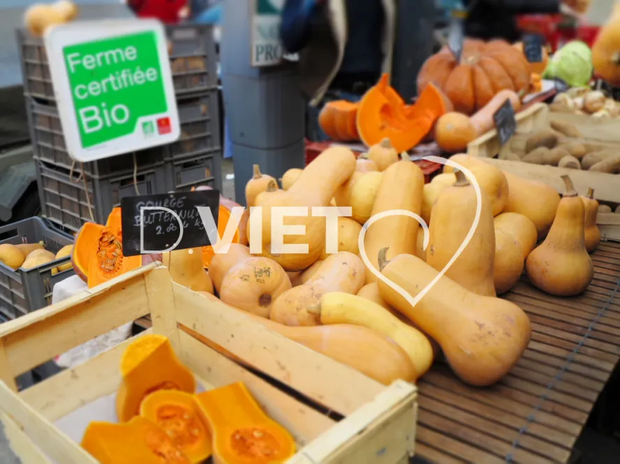 Photo TOULOUSE by VIET - Marché Saint Aubin Courges