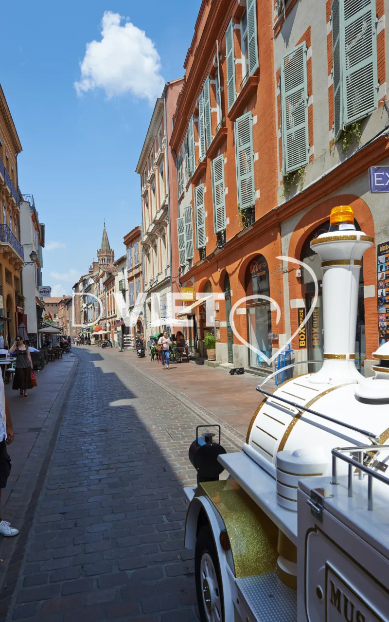 Photo TOULOUSE by VIET - Petit train touristique