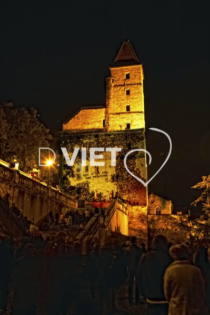 Photo TOULOUSE by VIET - spectacle de nuit