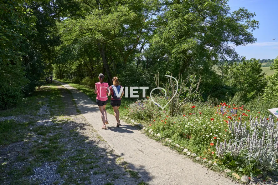 Photo TOULOUSE by VIET - SICOVAL