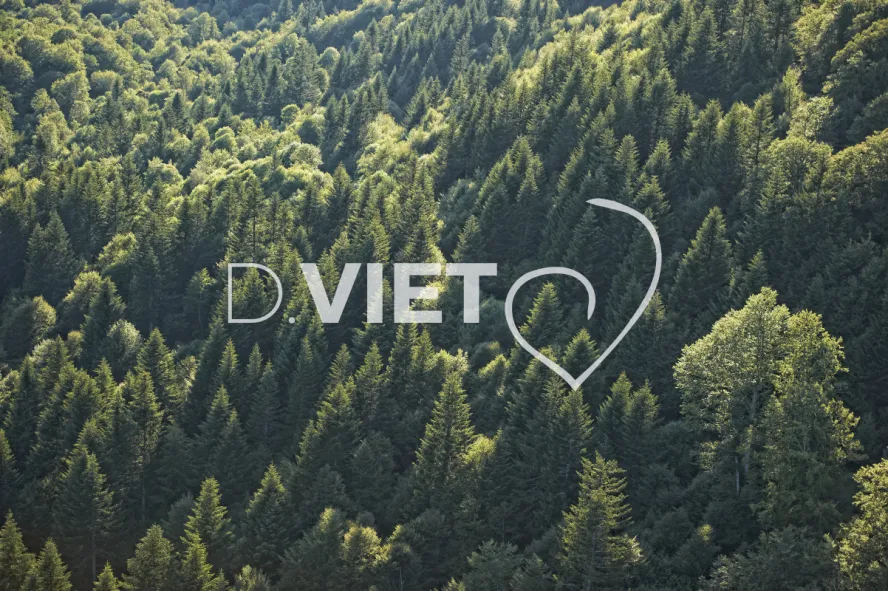 Photo TOULOUSE by VIET - Buron Aubrac