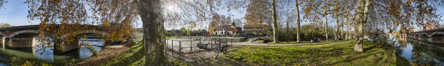 Photo TOULOUSE by VIET - Garonne et ramier