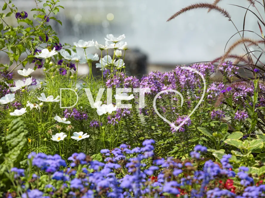 Photo TOULOUSE by VIET - La fontaine du Grand-Rond