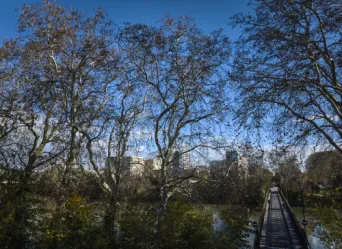 Photo TOULOUSE by VIET - Passerelle de la poudri&egrave;re