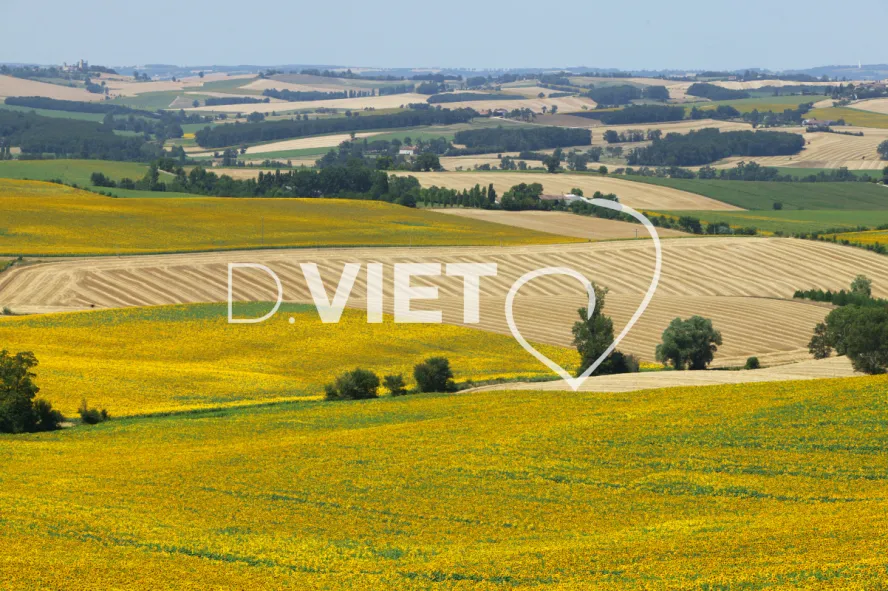 Photo TOULOUSE by VIET - Miradoux