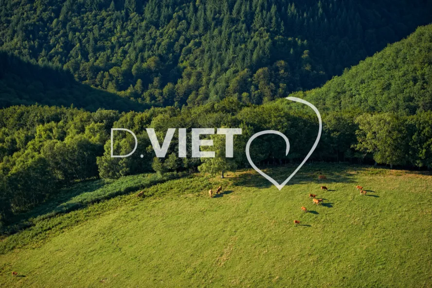 Photo TOULOUSE by VIET - VIET_005926