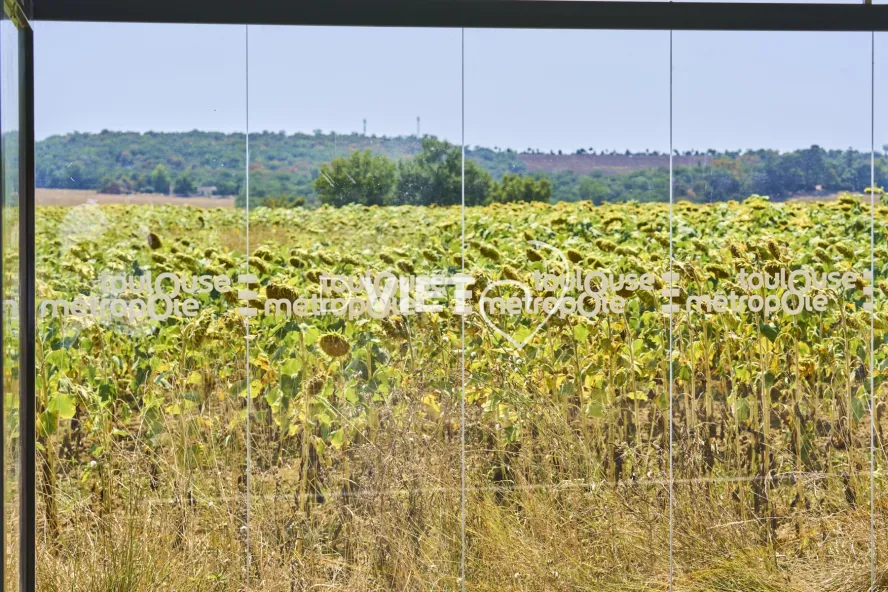 Photo TOULOUSE by VIET - DREMIL LAFAGE Habitat Pavillonnaire
