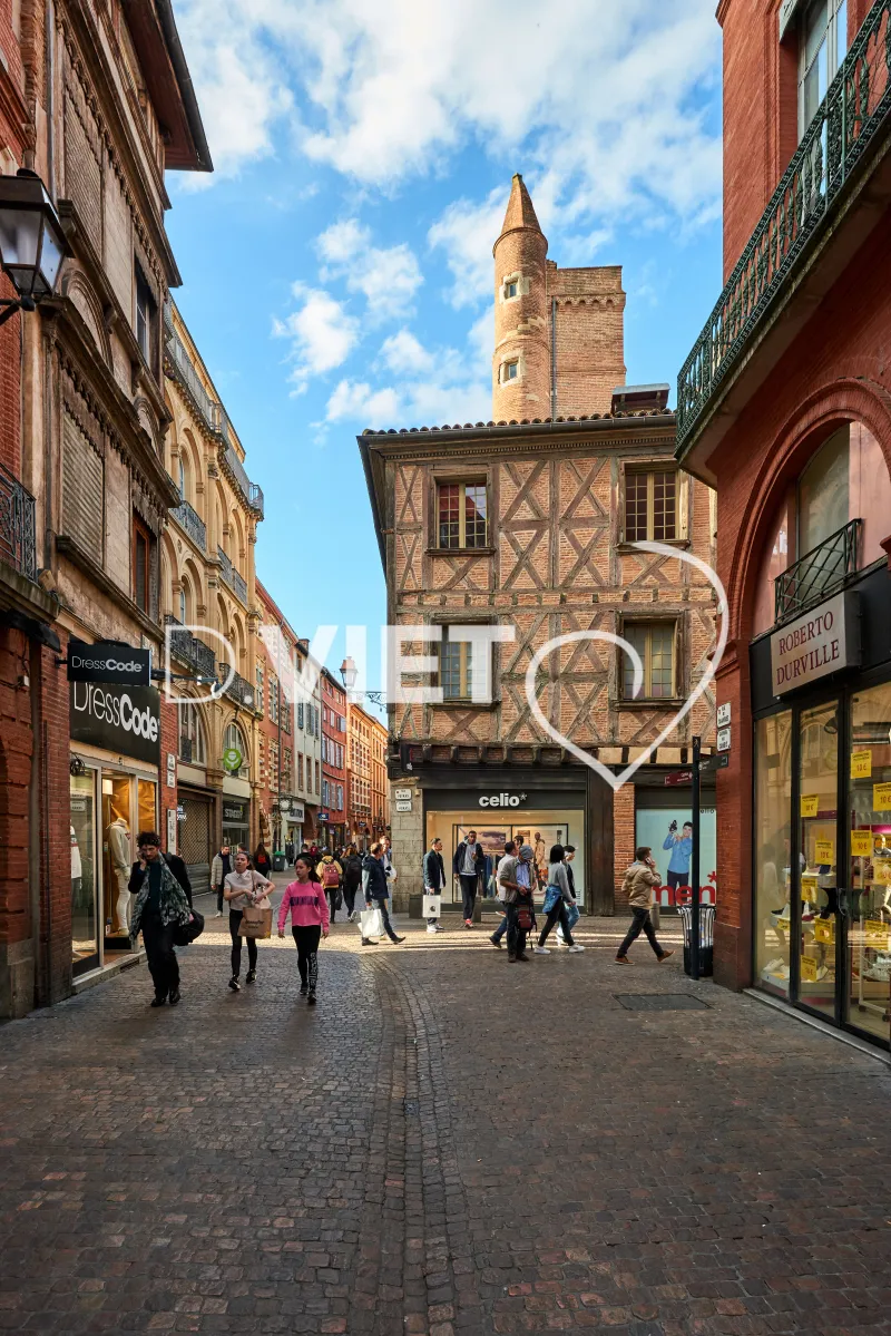 Photo TOULOUSE by VIET - VIET_008813