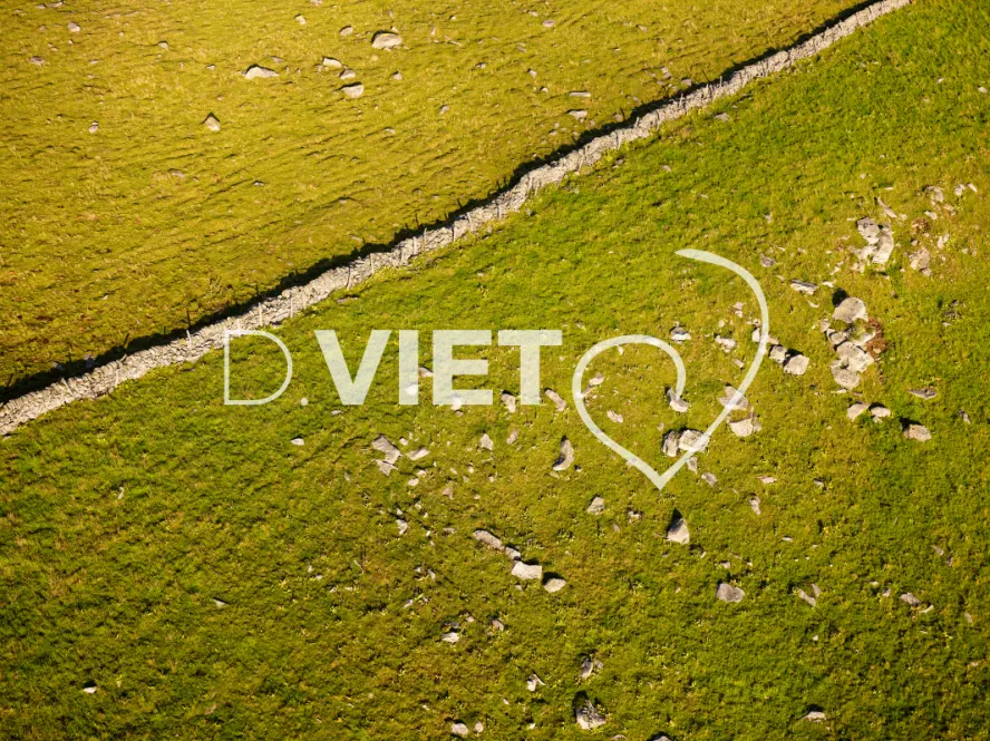 Photo TOULOUSE by VIET - VIET_005910