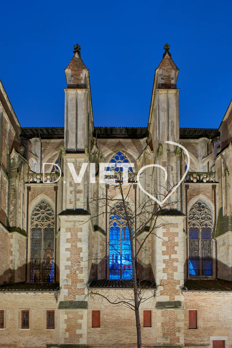 Photo TOULOUSE by VIET - VIET_008819