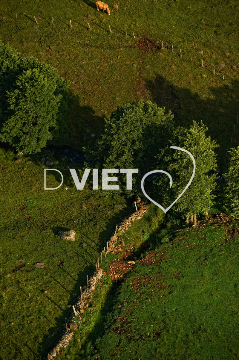 Photo TOULOUSE by VIET - Laguiole