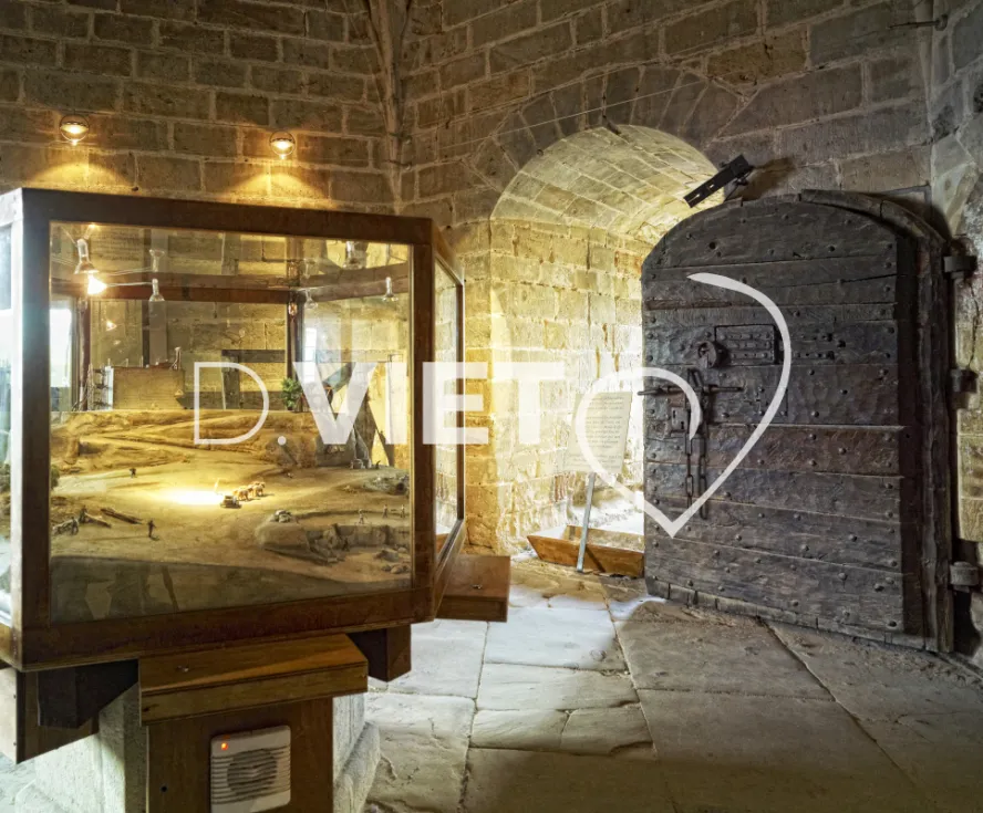 Photo TOULOUSE by VIET - Chateau de Foix