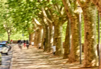 Photo TOULOUSE by VIET - VIET_013025
