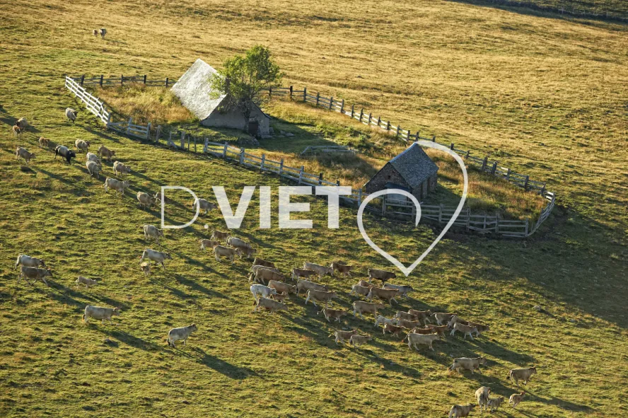 Photo TOULOUSE by VIET - Buron Aubrac