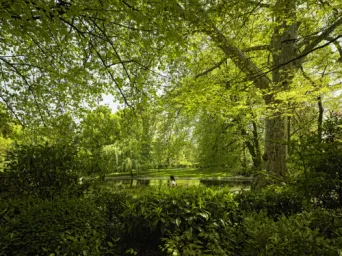Photo TOULOUSE by VIET - Jardin des plantes