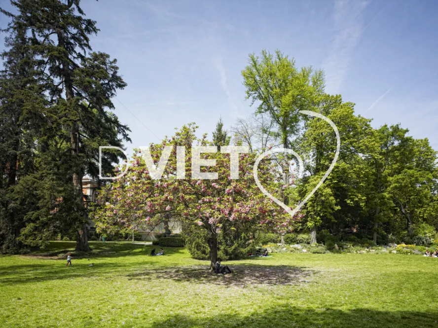 Photo TOULOUSE by VIET - jardin des plantes
