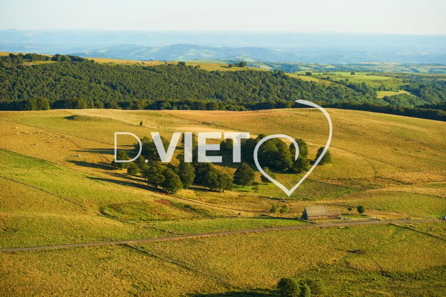 Photo TOULOUSE by VIET - VIET_005945