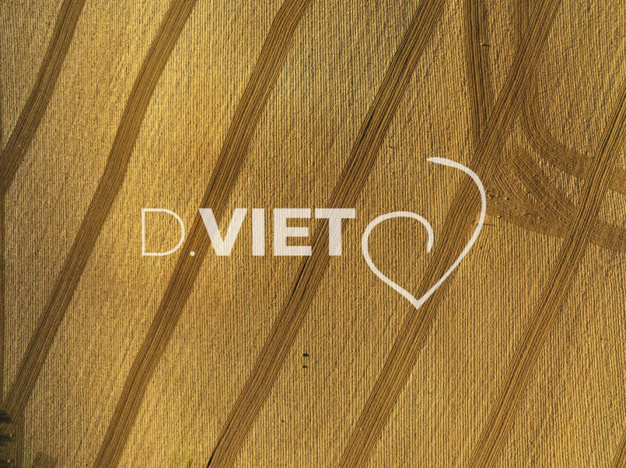 Photo TOULOUSE by VIET - TRACES