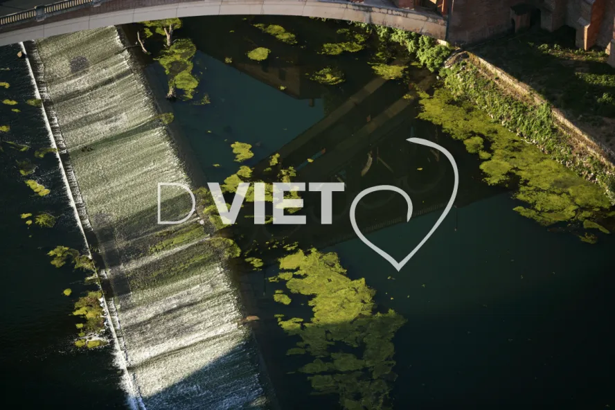 Photo TOULOUSE by VIET - 81 GAILLAC N43°53495 E001°53598 ©VIET 361.com