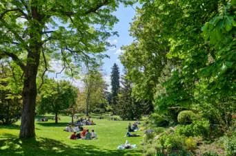 Photo TOULOUSE by VIET - Jardin des plantes