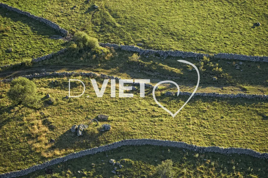 Photo TOULOUSE by VIET - Buron Aubrac