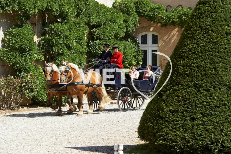 Photo TOULOUSE by VIET - Haras de Rodez