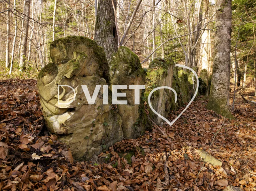 Photo TOULOUSE by VIET - Montsegur 09 pierres