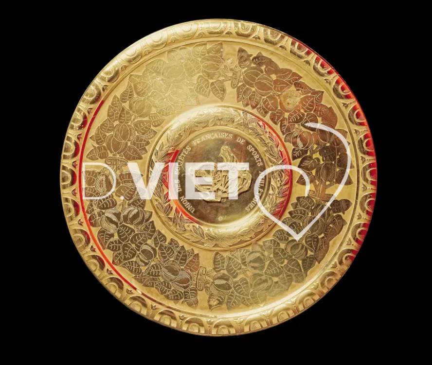 Photo TOULOUSE by VIET - Bouclier