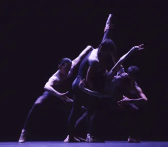 Photo TOULOUSE by VIET - Ballet du capitole