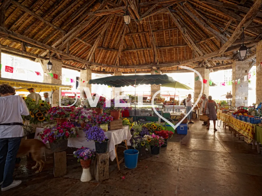 Photo TOULOUSE by VIET - MARCHE DE MARTEL