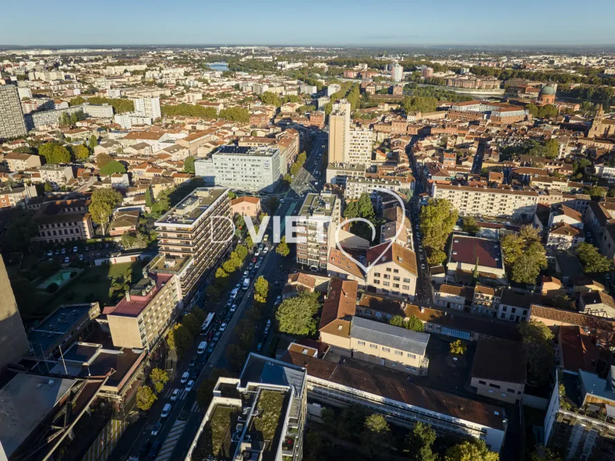 Photo TOULOUSE by VIET - Garonne et patrimoine historique