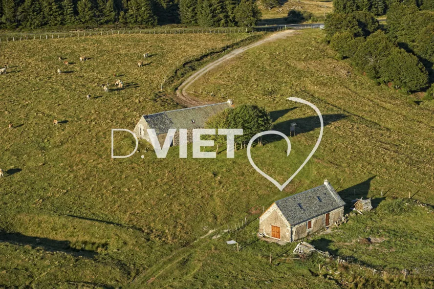 Photo TOULOUSE by VIET - Buron Aubrac