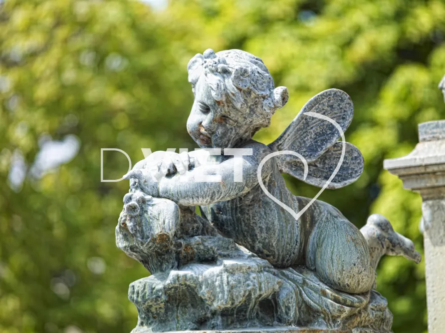 Photo TOULOUSE by VIET - La fontaine de la place Olivier