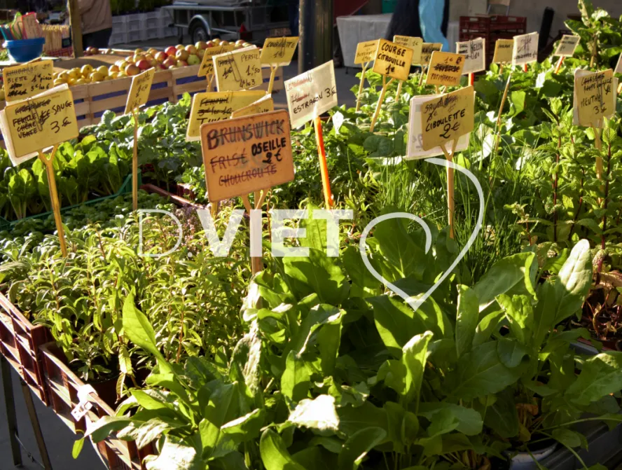 Photo TOULOUSE by VIET - Marche saint aubin