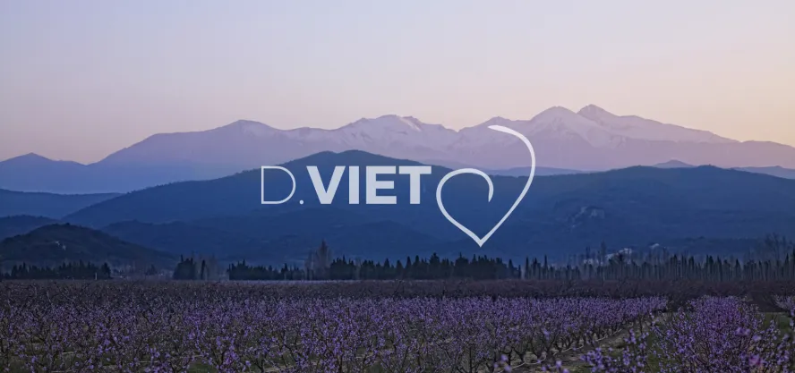 Photo TOULOUSE by VIET - Canigou