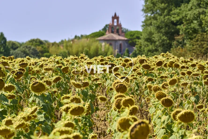 Photo TOULOUSE by VIET - DREMIL LAFAGE Habitat Pavillonnaire