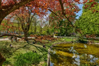 Photo TOULOUSE by VIET - Le jardin Royal
