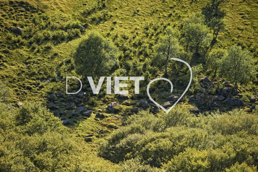 Photo TOULOUSE by VIET - Buron Aubrac