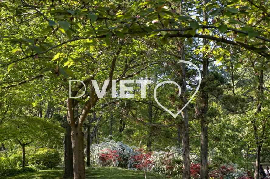 Photo TOULOUSE by VIET - Compans Caffarelli