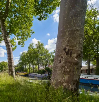 Photo TOULOUSE by VIET - Canal du midi