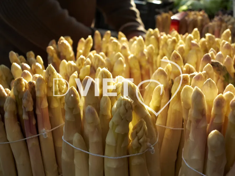 Photo TOULOUSE by VIET - Marche saint aubin