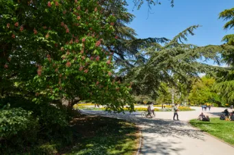 Photo TOULOUSE by VIET - Jardin du grand Rond