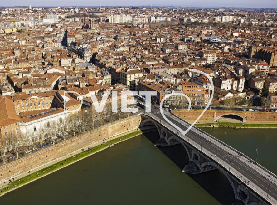Photo TOULOUSE by VIET - Pont Neuf et Carmes