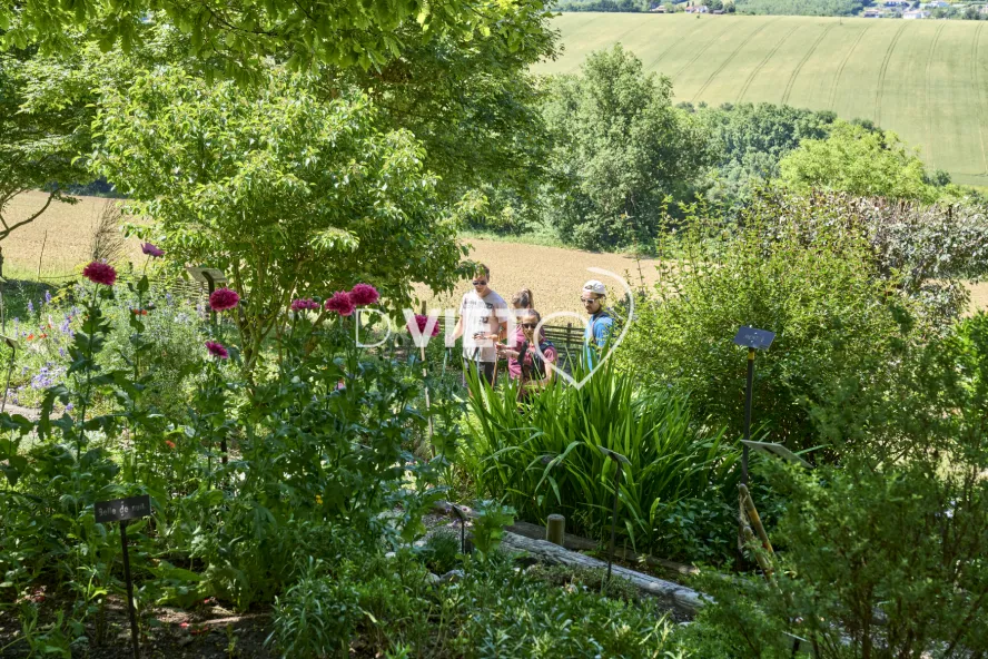 Photo TOULOUSE by VIET - SICOVAL