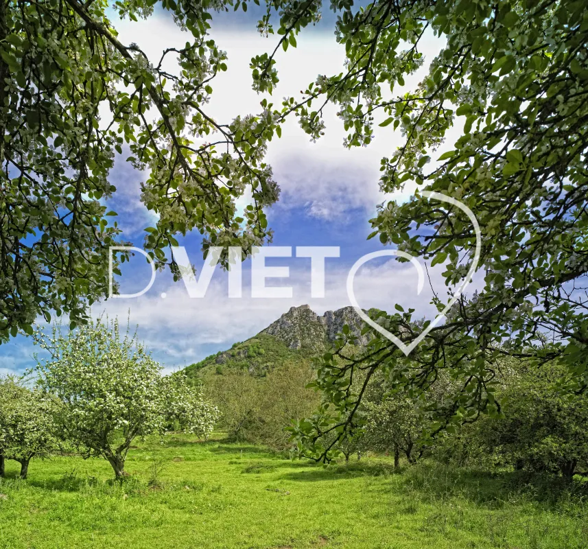 Photo TOULOUSE by VIET - Château de Montsegur